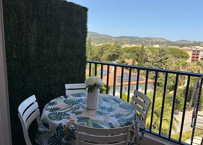 Magnifique Piscine Daire Sainte-Maxime